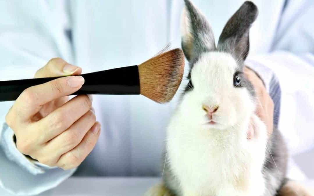 Cruelty-Free Beauty News – The Truth About Cosmetic Testing on Animals