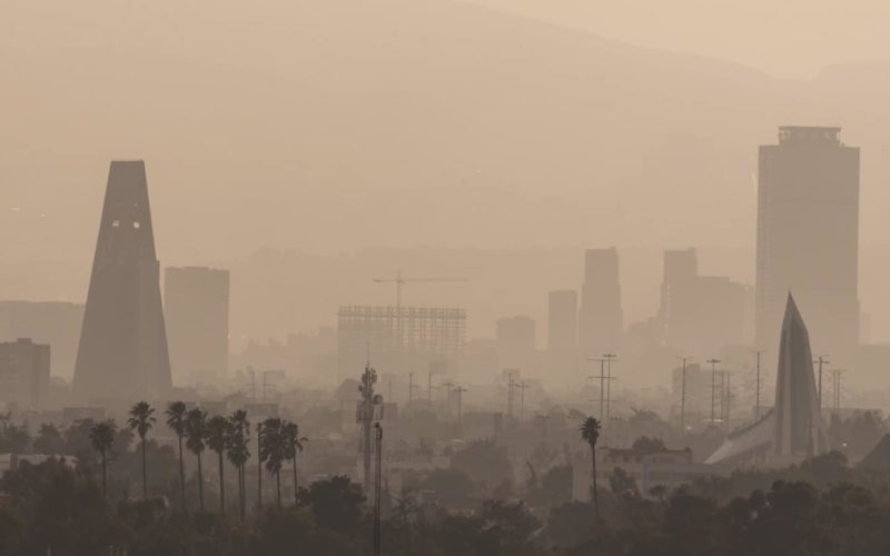 Pollution & Skin Damage